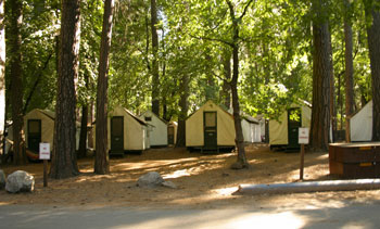 Curry Village - Yosemite