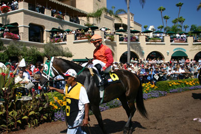 Checking out the horses at Del Mar
