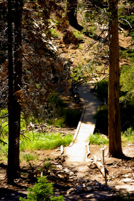 Walkway through San Jocinta Reserve